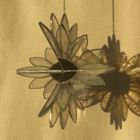 Fleur blanche