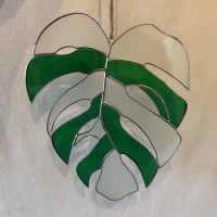 Grande feuille de Monstera