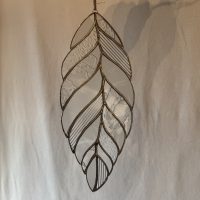 Feuille d'hêtre